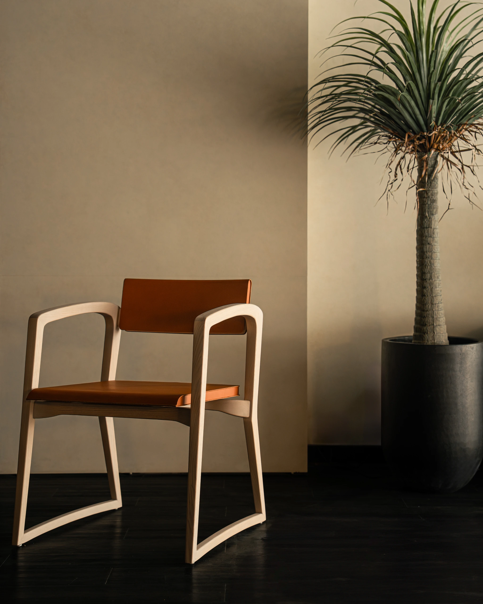 Showroom Amy Living