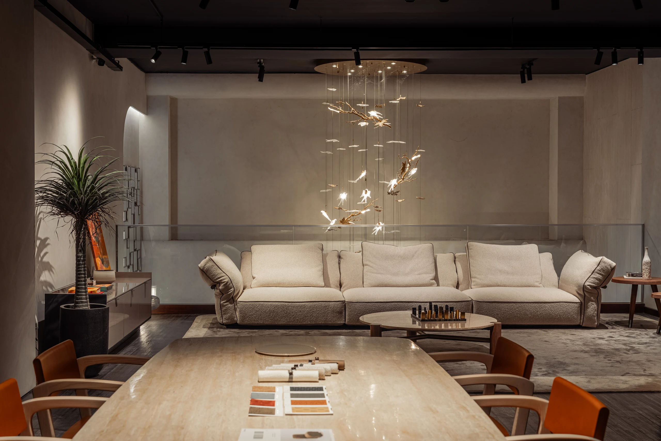 Showroom Amy Living